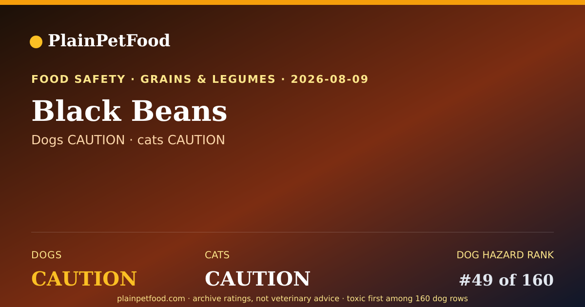 Shareable card for Black Beans for Pets, Is It Safe for Dogs and Cats?