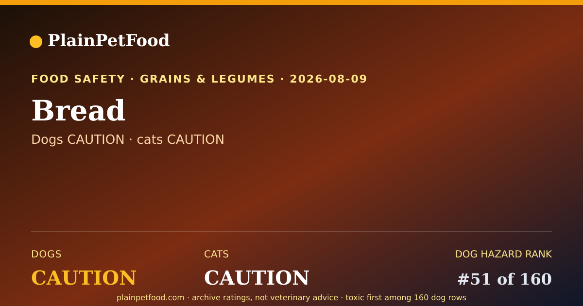 Shareable card for Bread for Pets, Is It Safe for Dogs and Cats?
