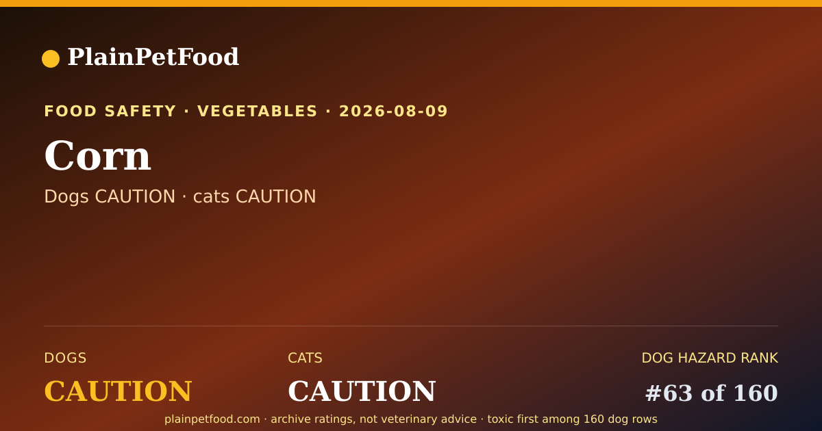 Shareable card for Corn for Pets, Is It Safe for Dogs and Cats?