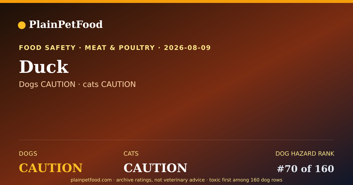 Shareable card for Duck for Pets, Is It Safe for Dogs and Cats?