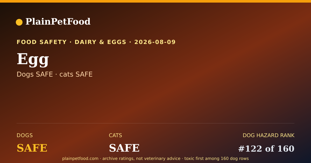 Shareable card for Egg for Pets, Is It Safe for Dogs and Cats?
