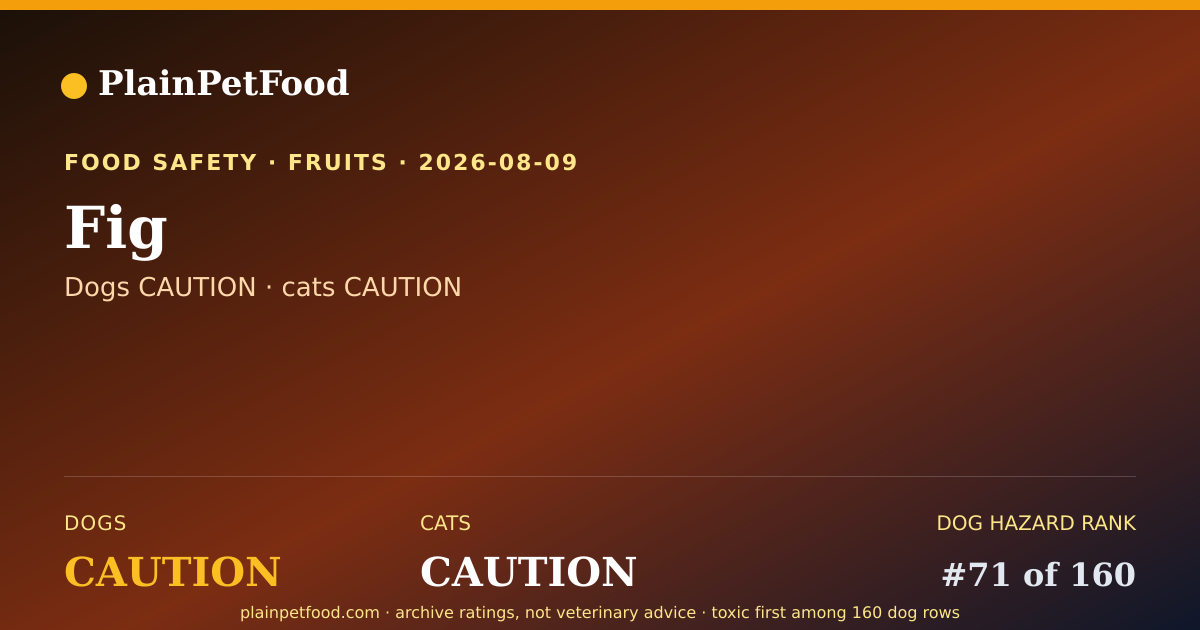 Shareable card for Fig for Pets, Is It Safe for Dogs and Cats?