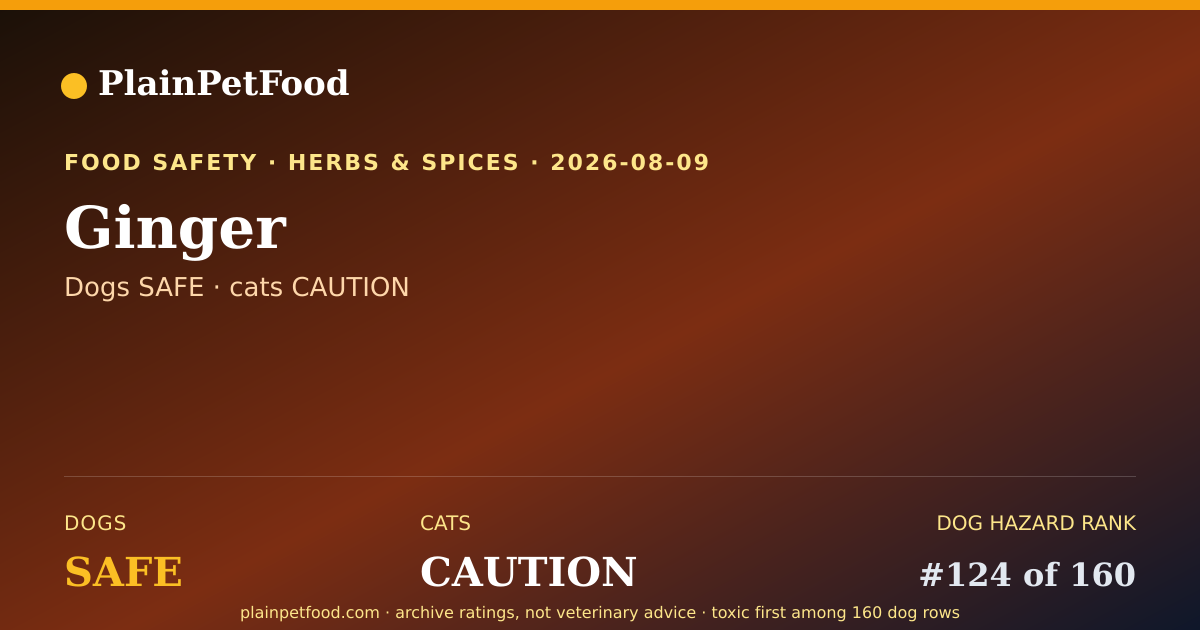 Shareable card for Ginger for Pets, Is It Safe for Dogs and Cats?