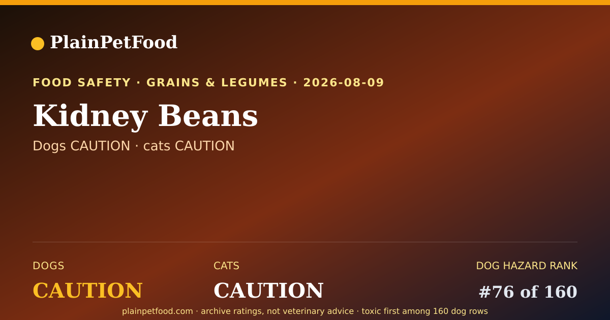 Shareable card for Kidney Beans for Pets, Is It Safe for Dogs and Cats?