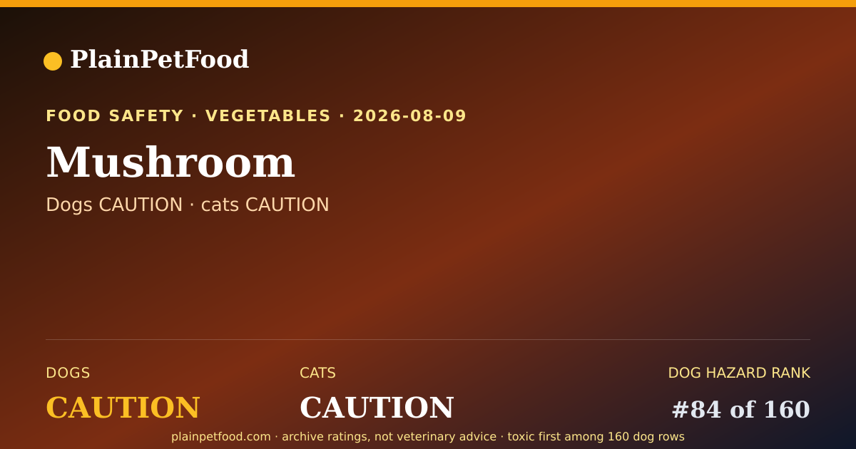 Shareable card for Mushroom for Pets, Is It Safe for Dogs and Cats?