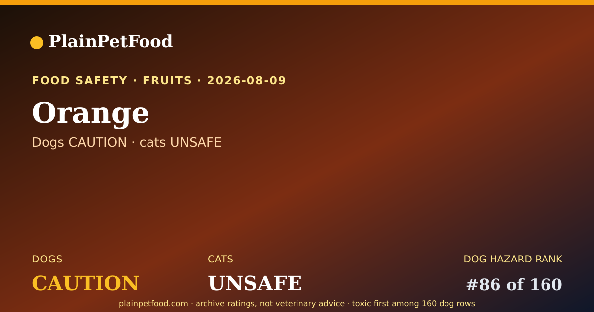 Shareable card for Orange for Pets, Is It Safe for Dogs and Cats?