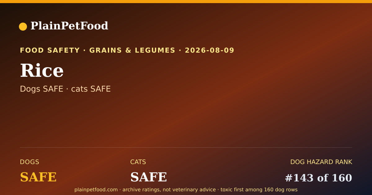Shareable card for Rice for Pets, Is It Safe for Dogs and Cats?