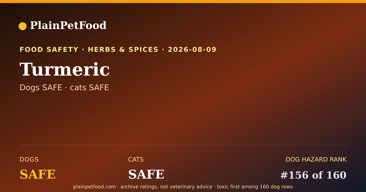 Shareable card for Turmeric for Pets, Is It Safe for Dogs and Cats?