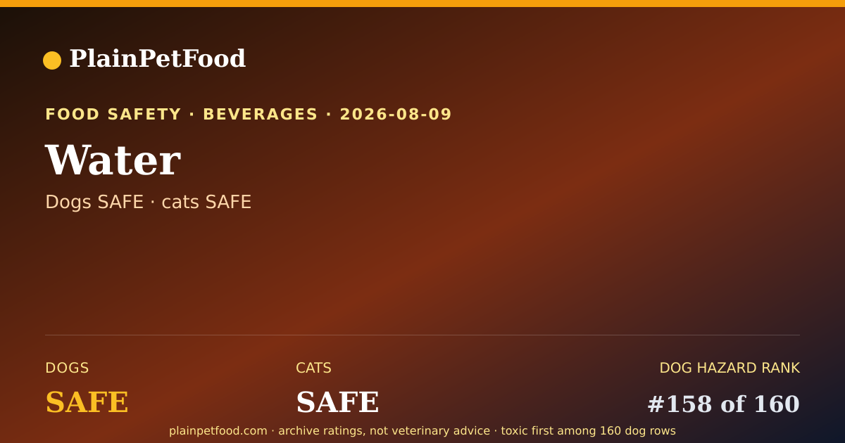 Shareable card for Water for Pets, Is It Safe for Dogs and Cats?